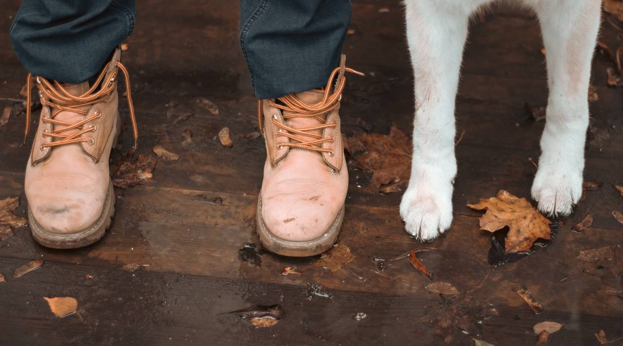 Лёша и верный друг Кейко. Ваш семейный фотограф в Минске — Вика Трегубова