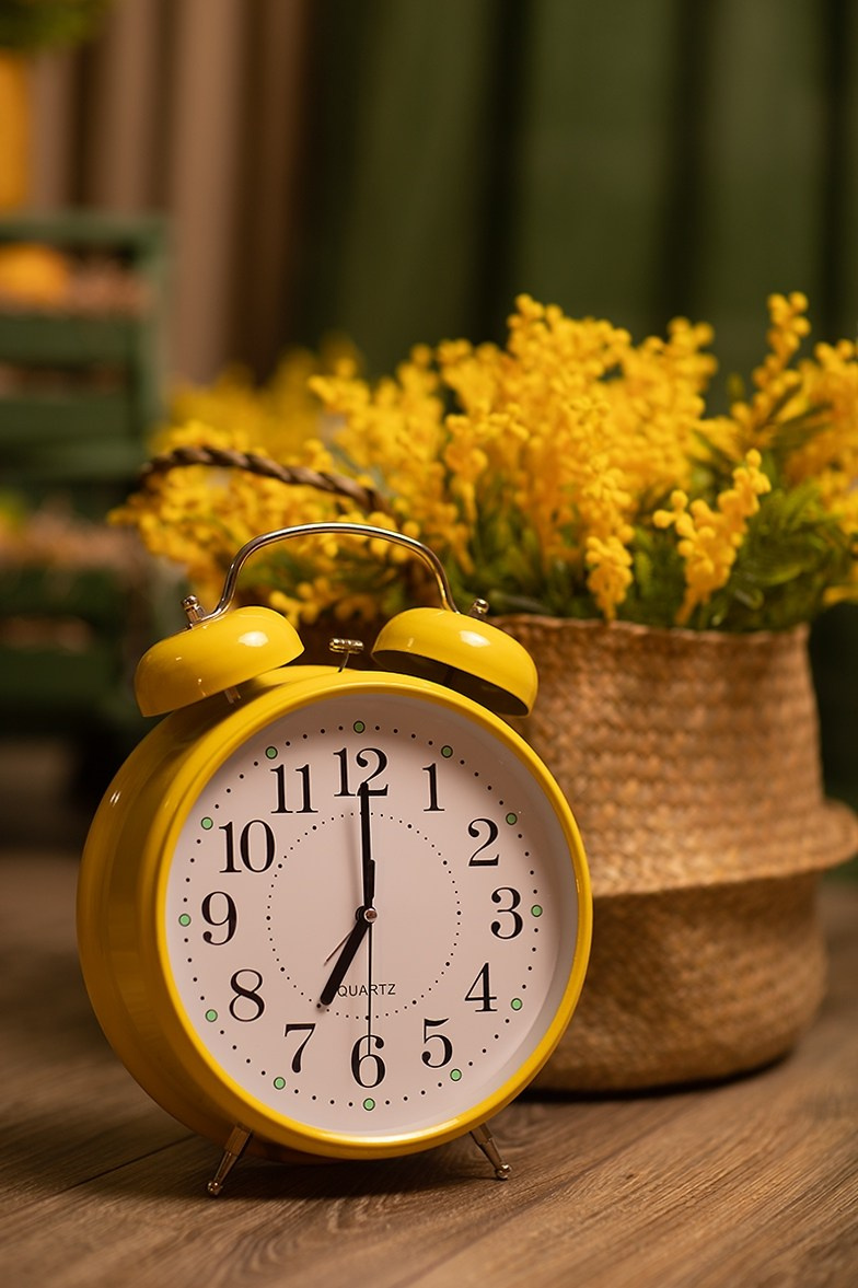 Green (Станке-Димитрова, 54а, БЦ Десна). Портретный, семейный, свадебный фотограф в Брянске Маргарита Василькова