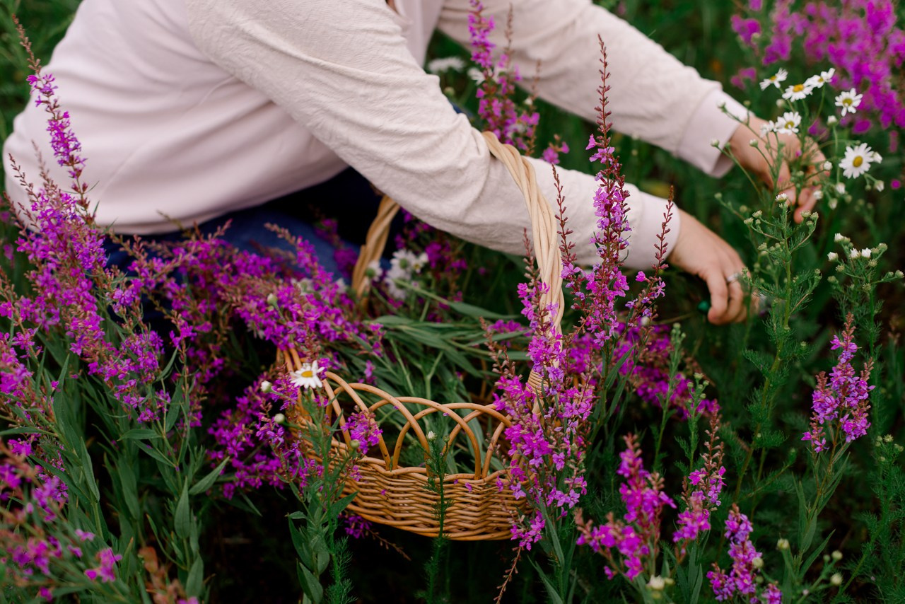 Травы. Портретный и семейный фотограф Магнитогорск Евгения Ионова