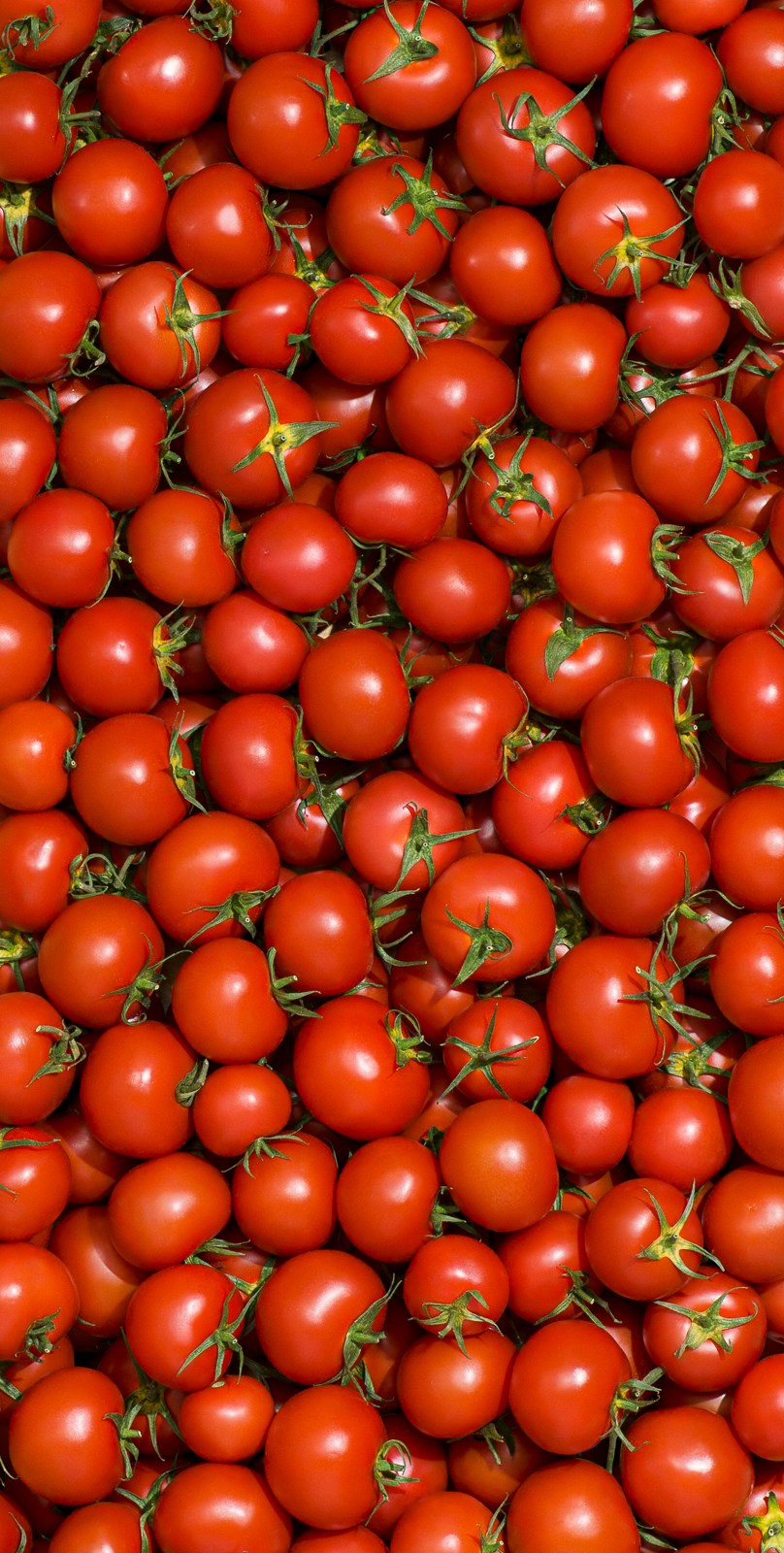 Food. Vladimir Kochetkov — Photographer, Art Director, AI Creator