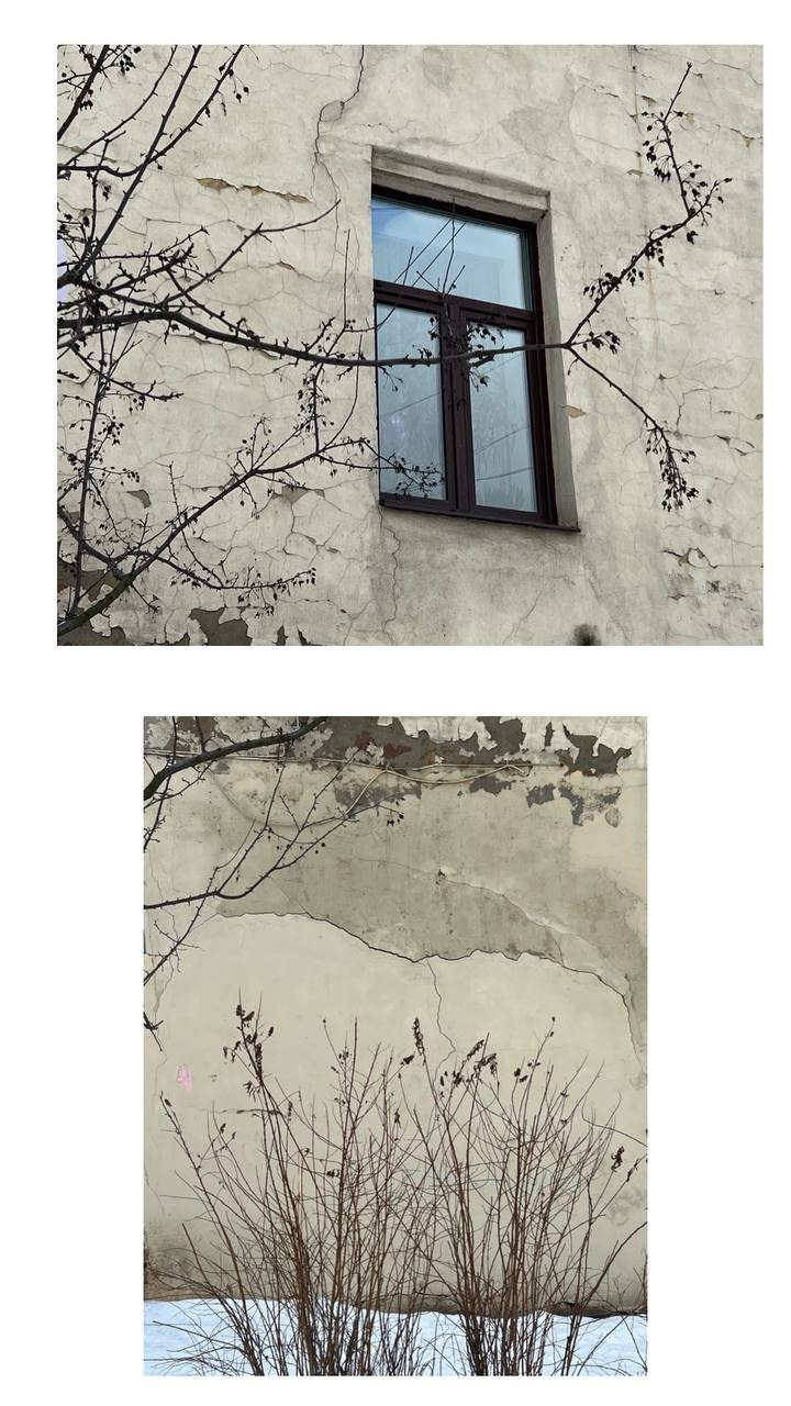 Обучающие курсы. Арт-фотограф Виктория Забродина