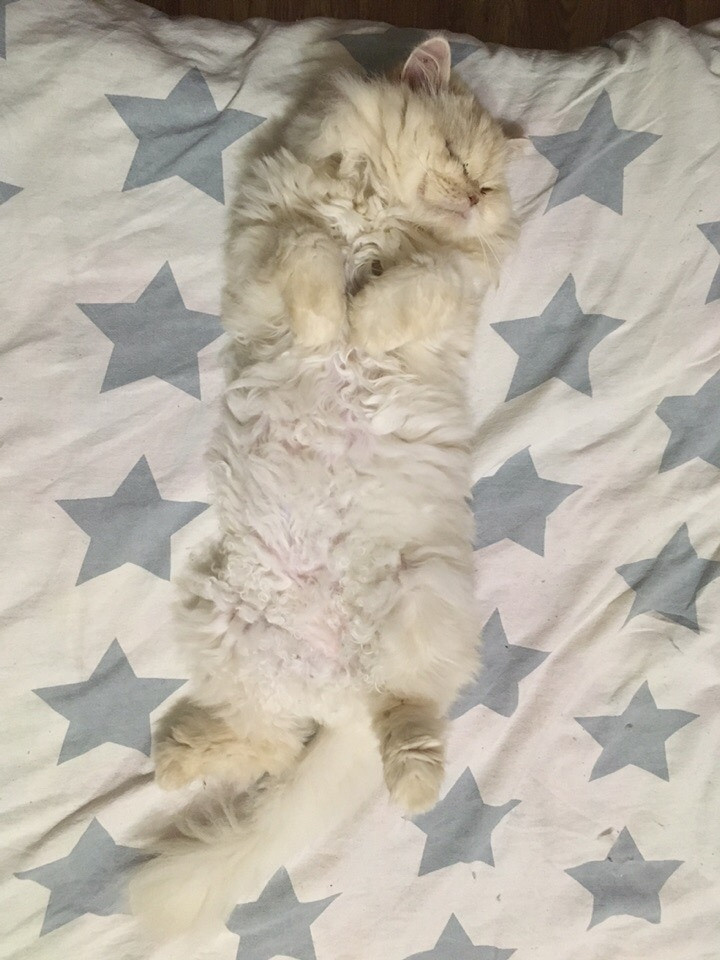 Мои детки. Кучерявая || Фотограф || Самара·Питер·Москва