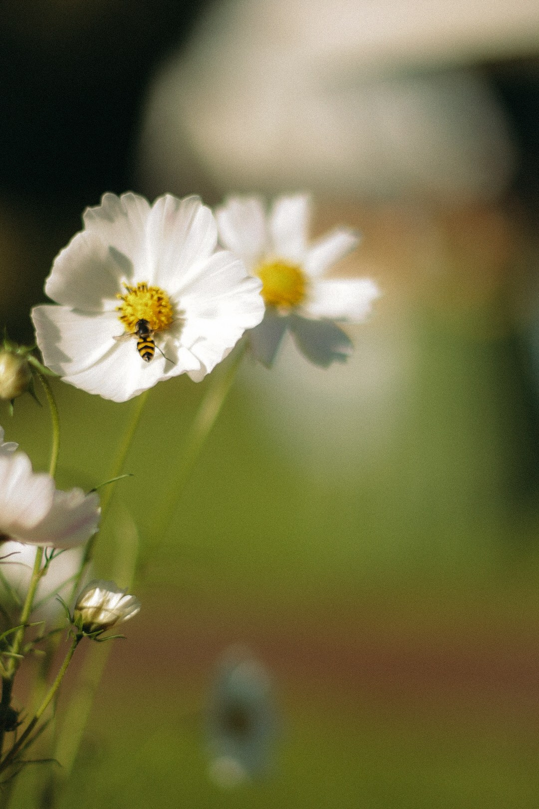 Backstage. Фотограф Нижний Новгород