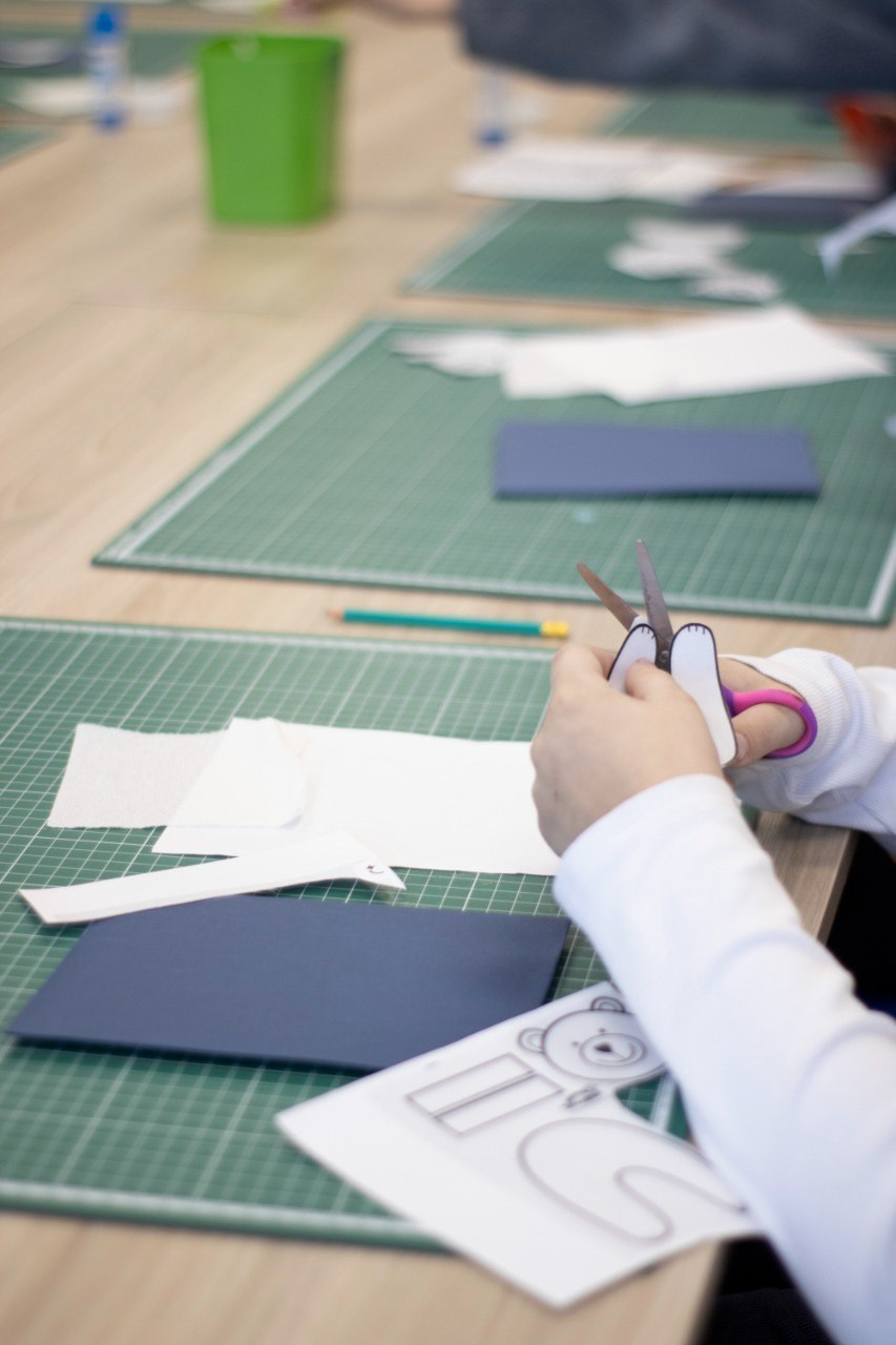 Сияние Арктики. ALASRAIN