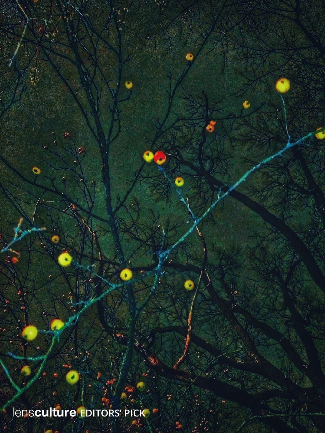 Галерея 1. Наталья Жукова. Курсы фотографии