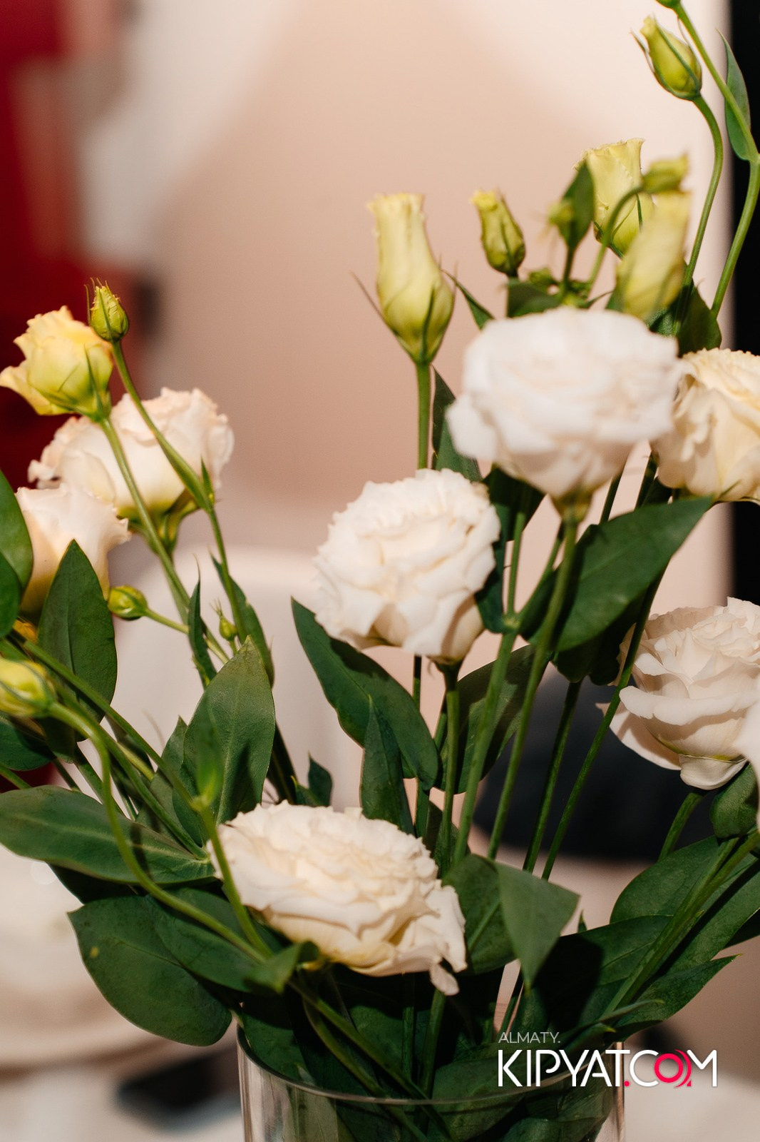 MIELE. КИПЯТКОМ АЛМАТЫ!