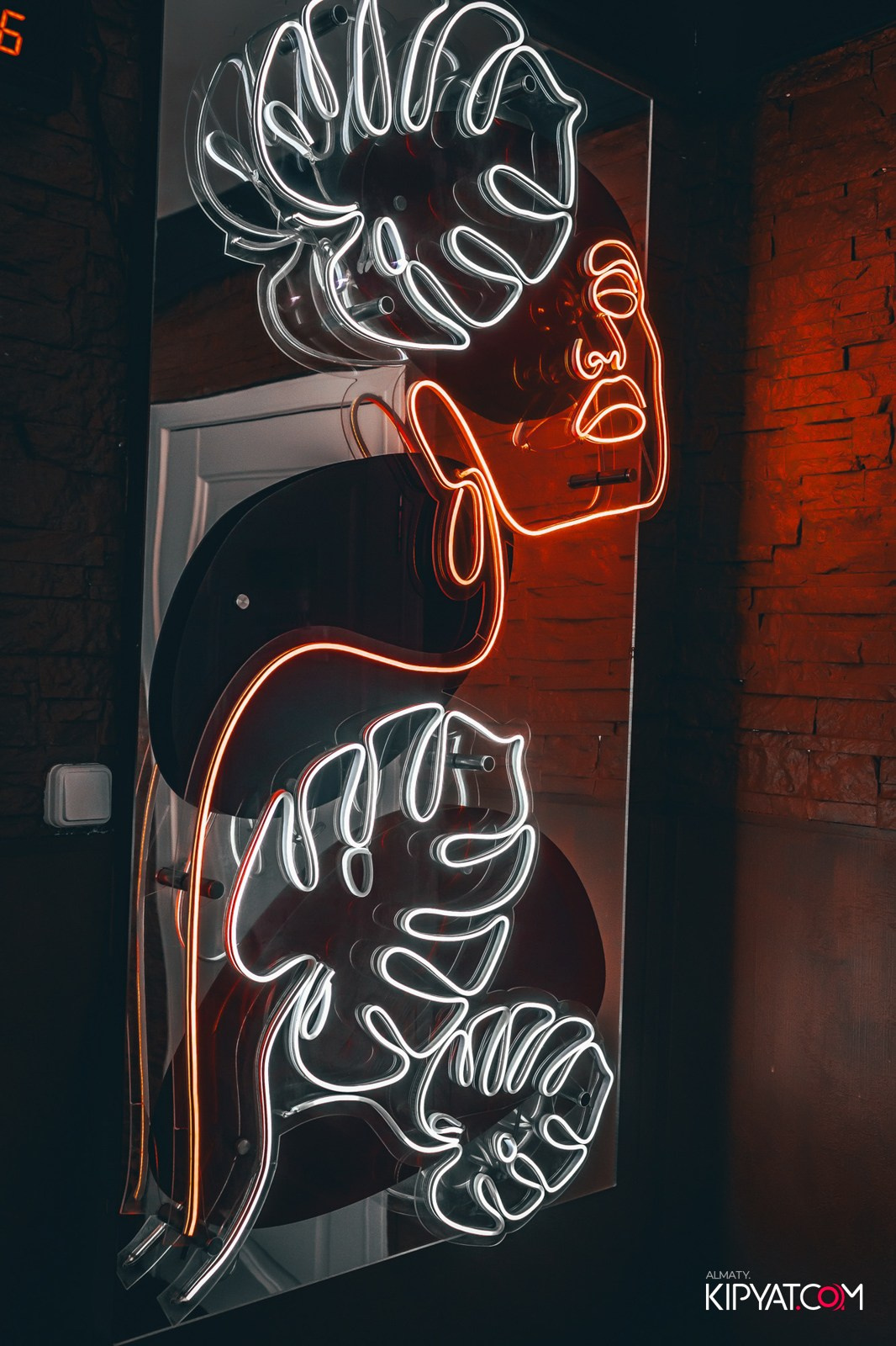 УХО И МЕДВЕДЬ НА САИНА. КИПЯТКОМ АЛМАТЫ!