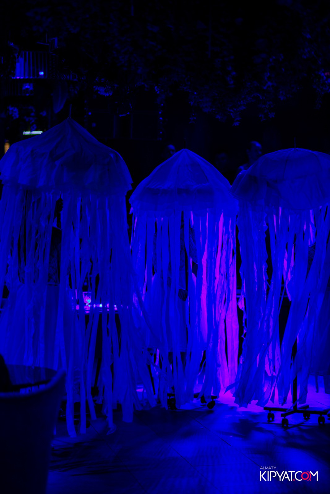 FRIENDS BAR & TERRACE. КИПЯТКОМ АЛМАТЫ!