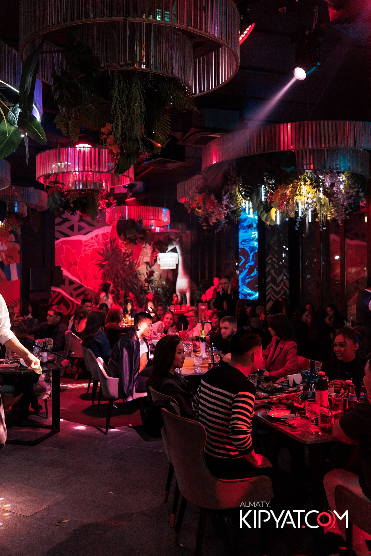 FRIENDS BAR & TERRACE. КИПЯТКОМ АЛМАТЫ!