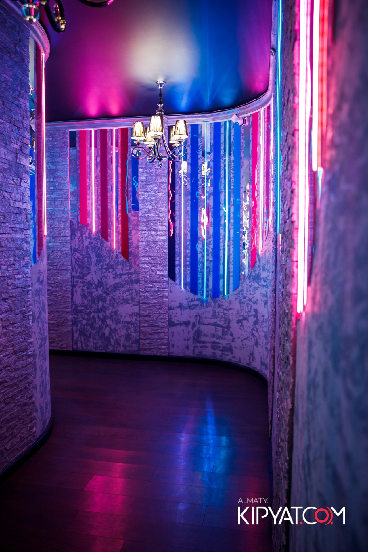 Ухо и медведь на Гагарина. КИПЯТКОМ АЛМАТЫ!