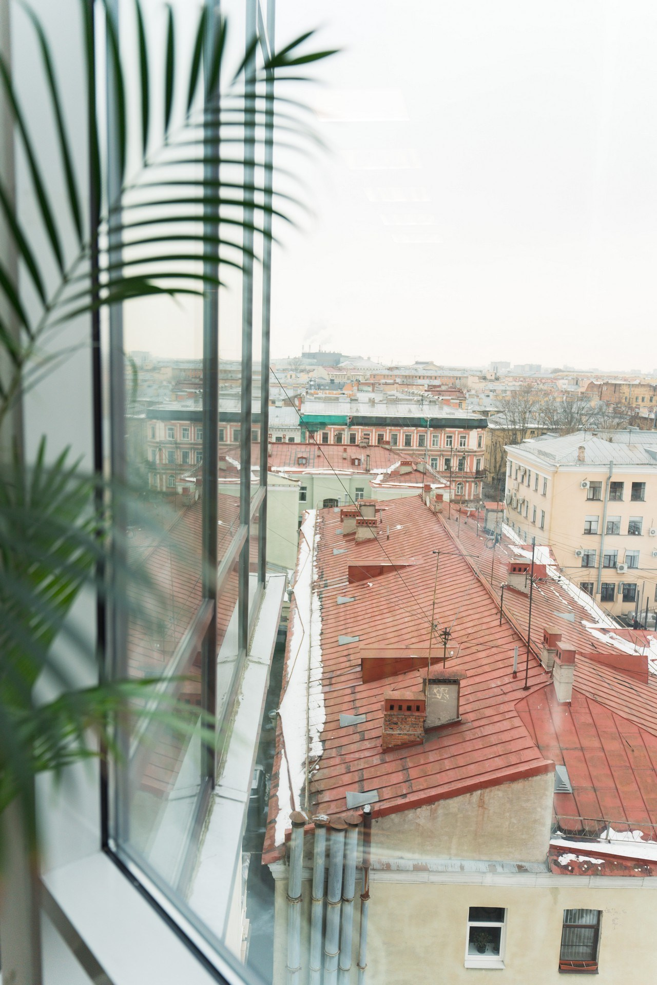 Русьпушнина. Репортажная съёмка в Санкт-Петербурге, Константин Петров