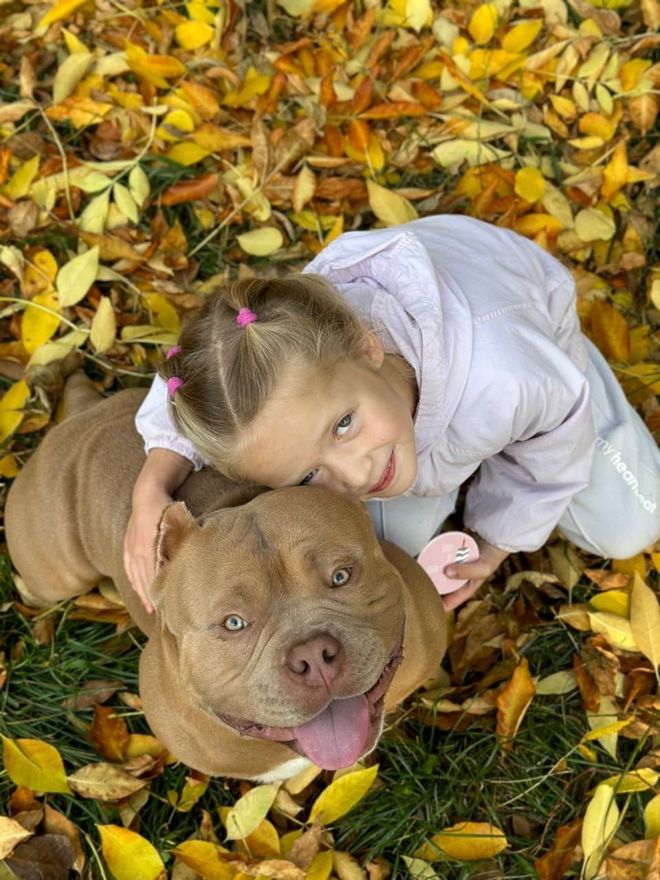 купить щенка Амбулли в Челябинске 