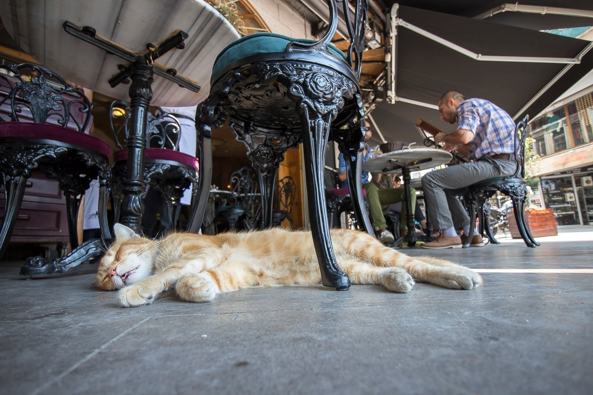 Стамбул, Турция, 2014. Фотограф Василий Буланов