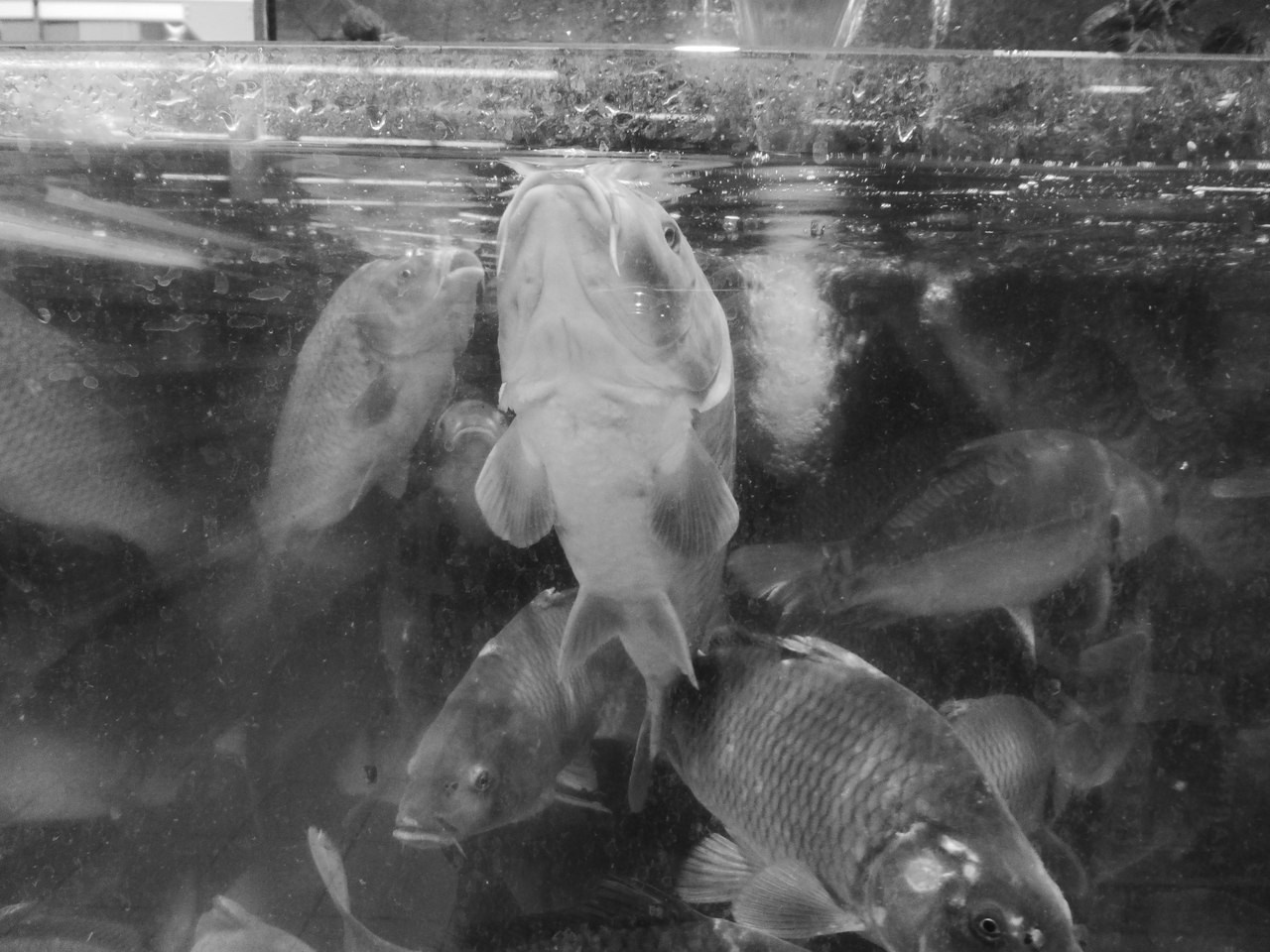 Мои первые работы. Фотограф из Москвы — DASHA NOVA | Авторская фотография в разных жанрах