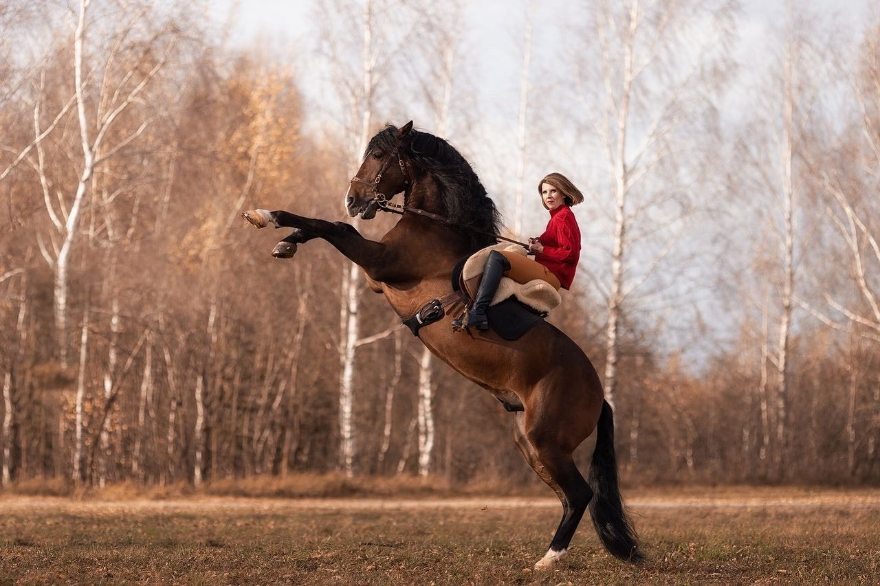 Портфолио и примеры работ с фотосессии с трюковыми лошадьми. Фотосессии с лошадьми в Москве от Конный фотографа Кутейниковой Светланы