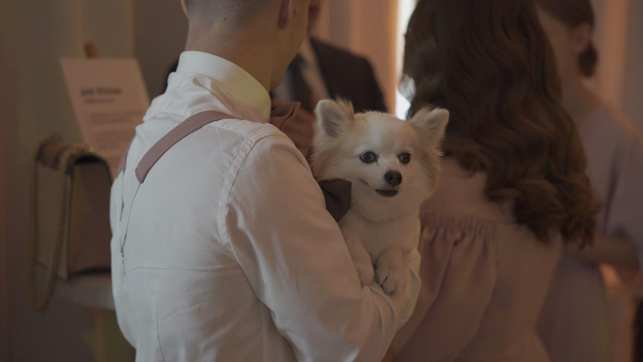 Максим и Лиза. Видеограф на свадьбу в Санкт-Петербурге