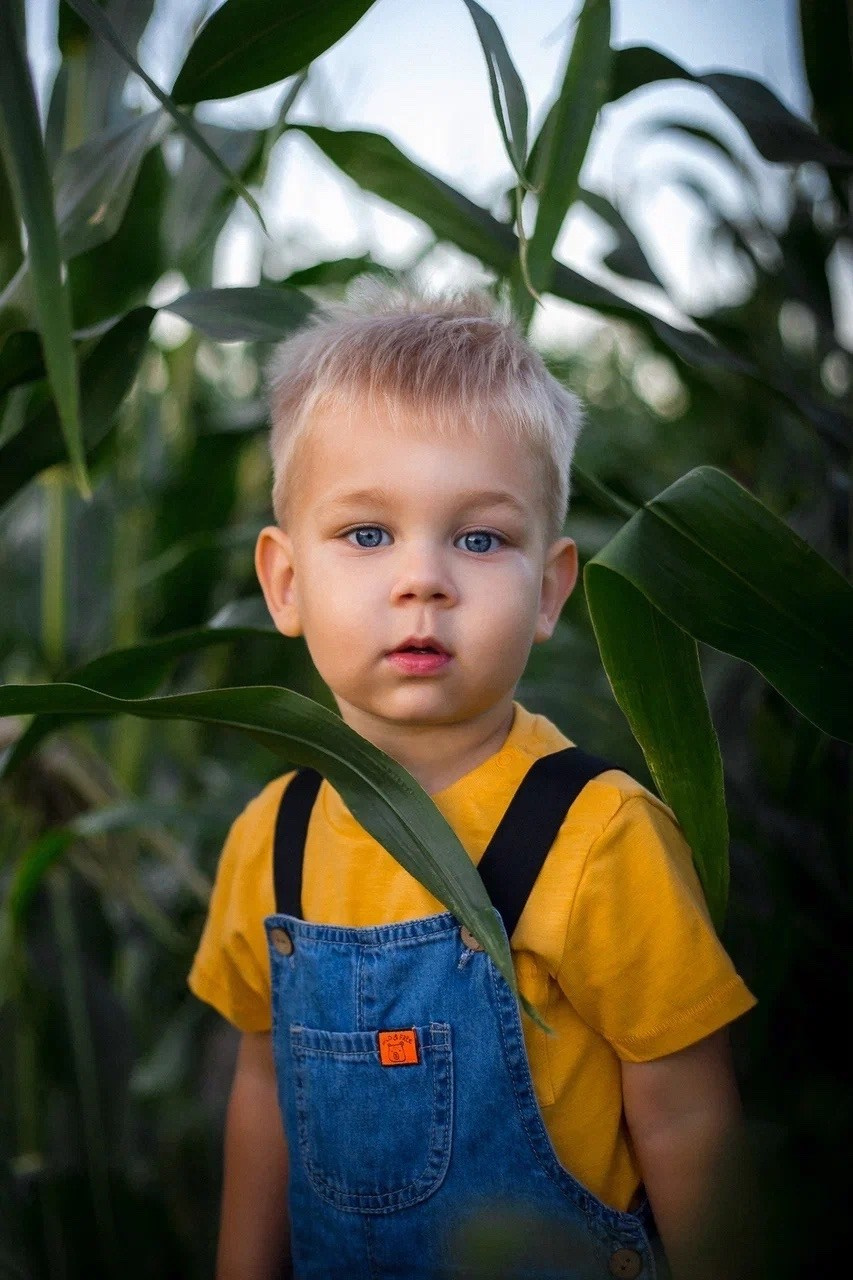 Кукурузные поля. Портретный, семейный, свадебный фотограф в Брянске Маргарита Василькова