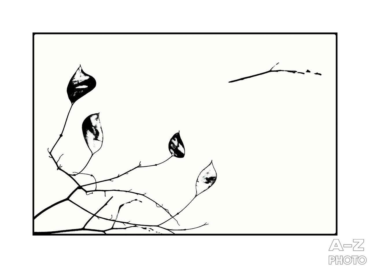 #ФОТОНЕДЕЛИ 26.01.2026. Женский семейный фотограф Тула Москва Захарова Анна