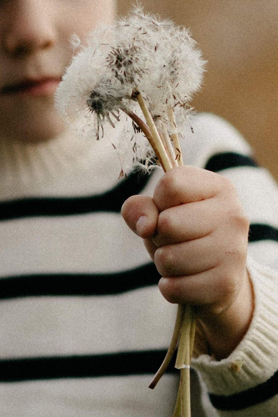 5 лет. Кристина Пархоменко. Фотограф. Краснодар
