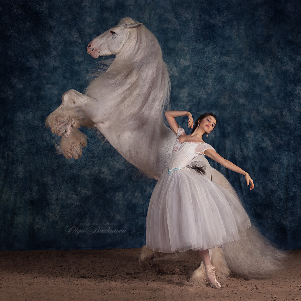 Балерины и лошади. Ольга Бажутова конный и портретный фотограф в Москве