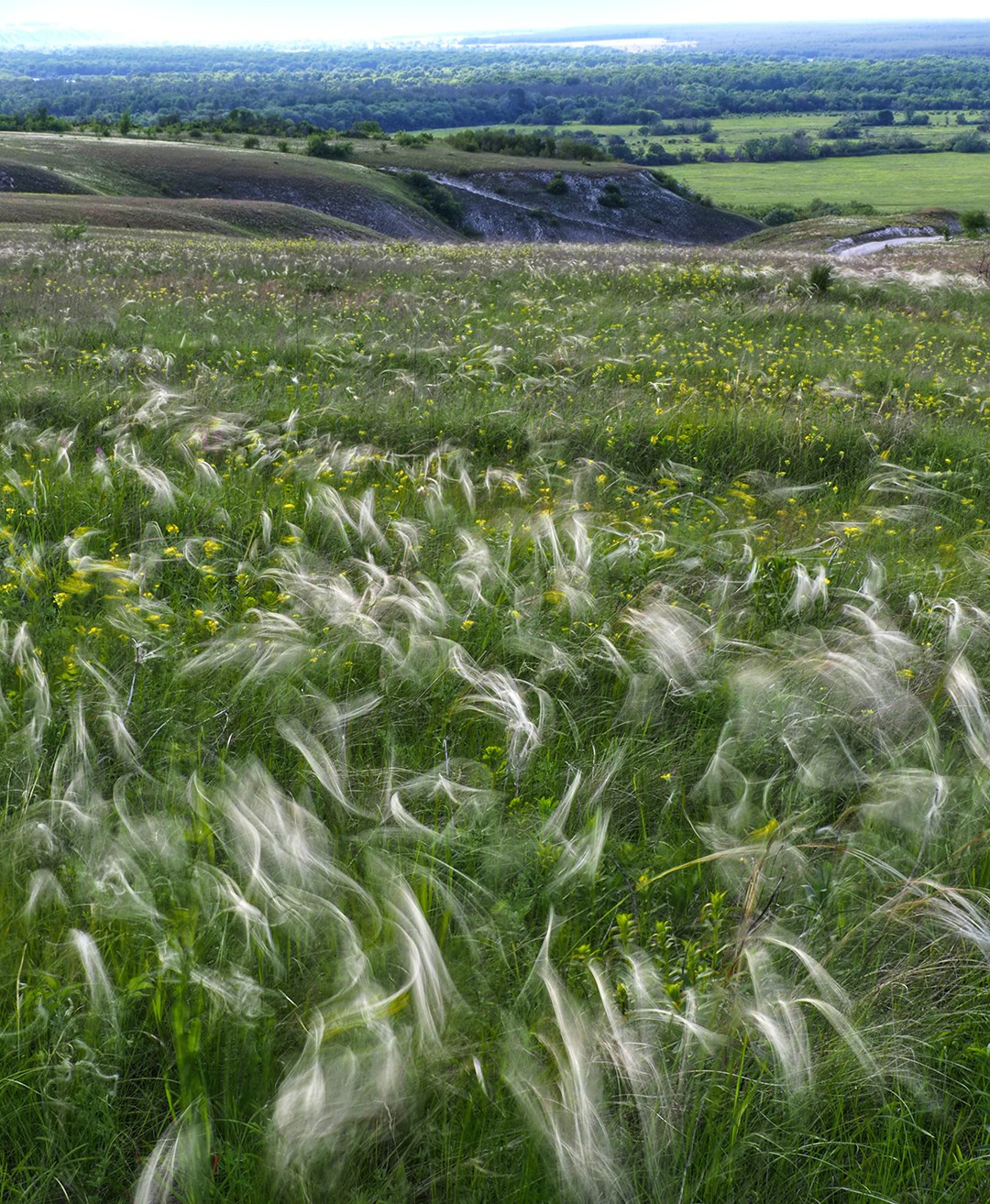 Стрит и пейзажи. Главная