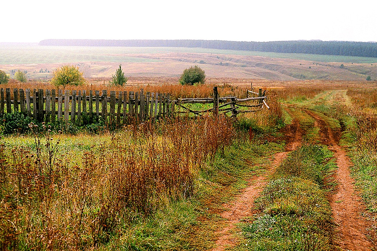 РАЗНОЕ. Андрей Пономарёв