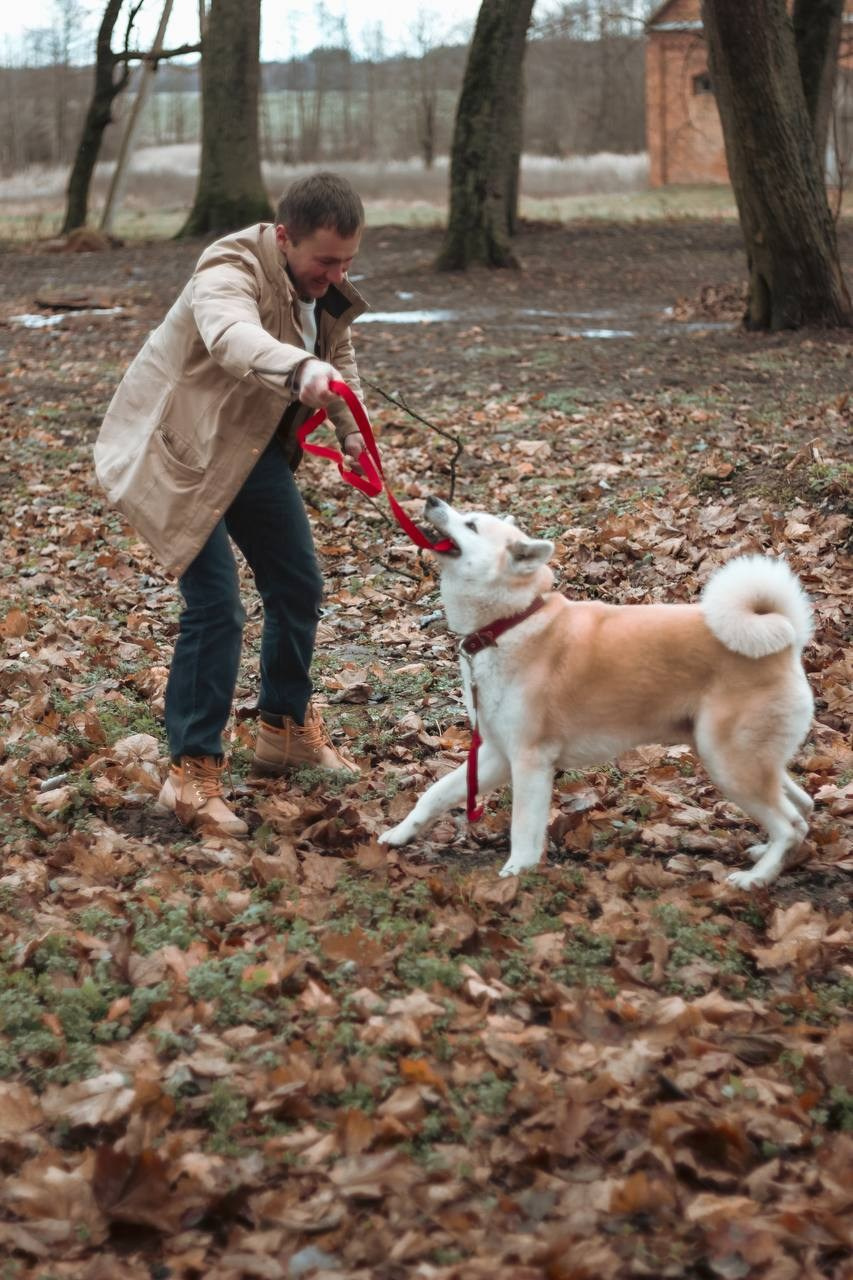 Лёша и верный друг Кейко. Ваш семейный фотограф в Минске — Вика Трегубова