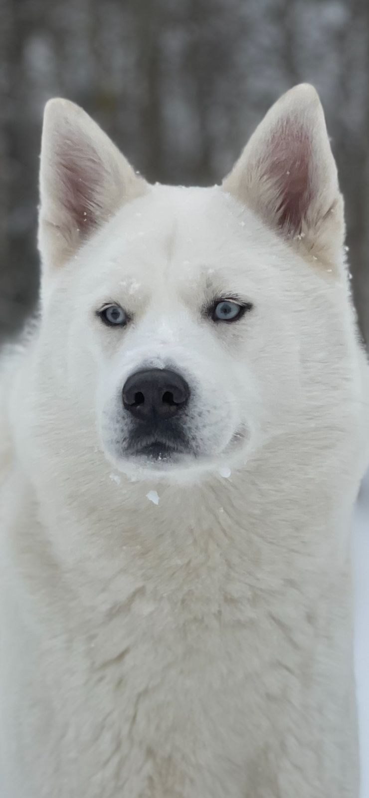 Новогодний фотодень. Фотоальбомы на заказ