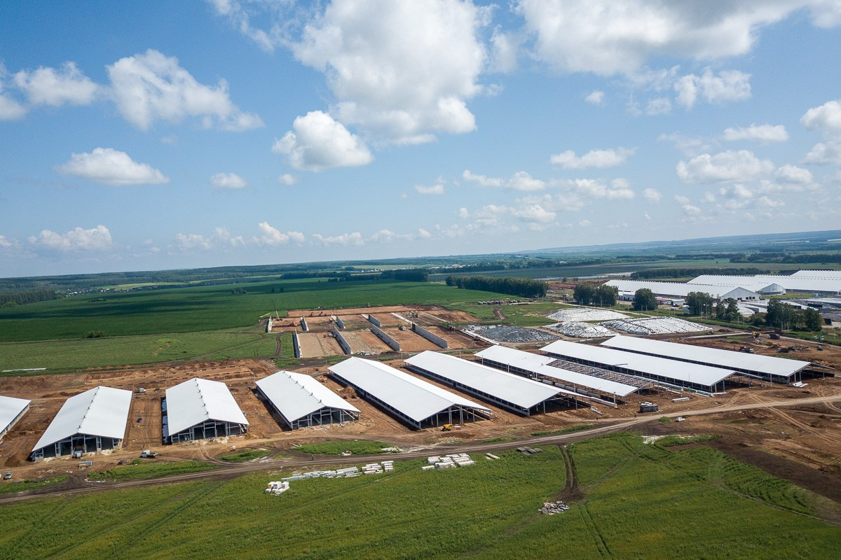 БИЗНЕС КОНТЕНТ. АЛЕКСАНДР ФОКС