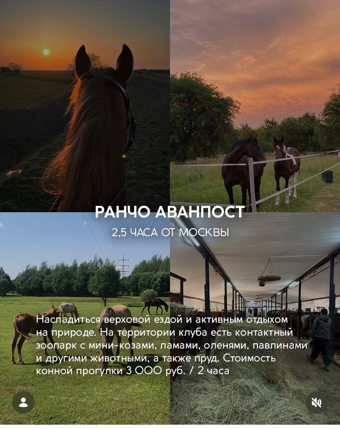 Природные. Фотограф Светлана Мерзлякова