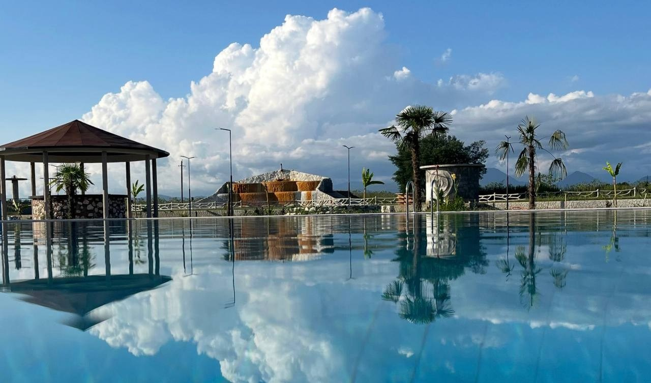 Абхазия. Мимоза. Ольга Котова