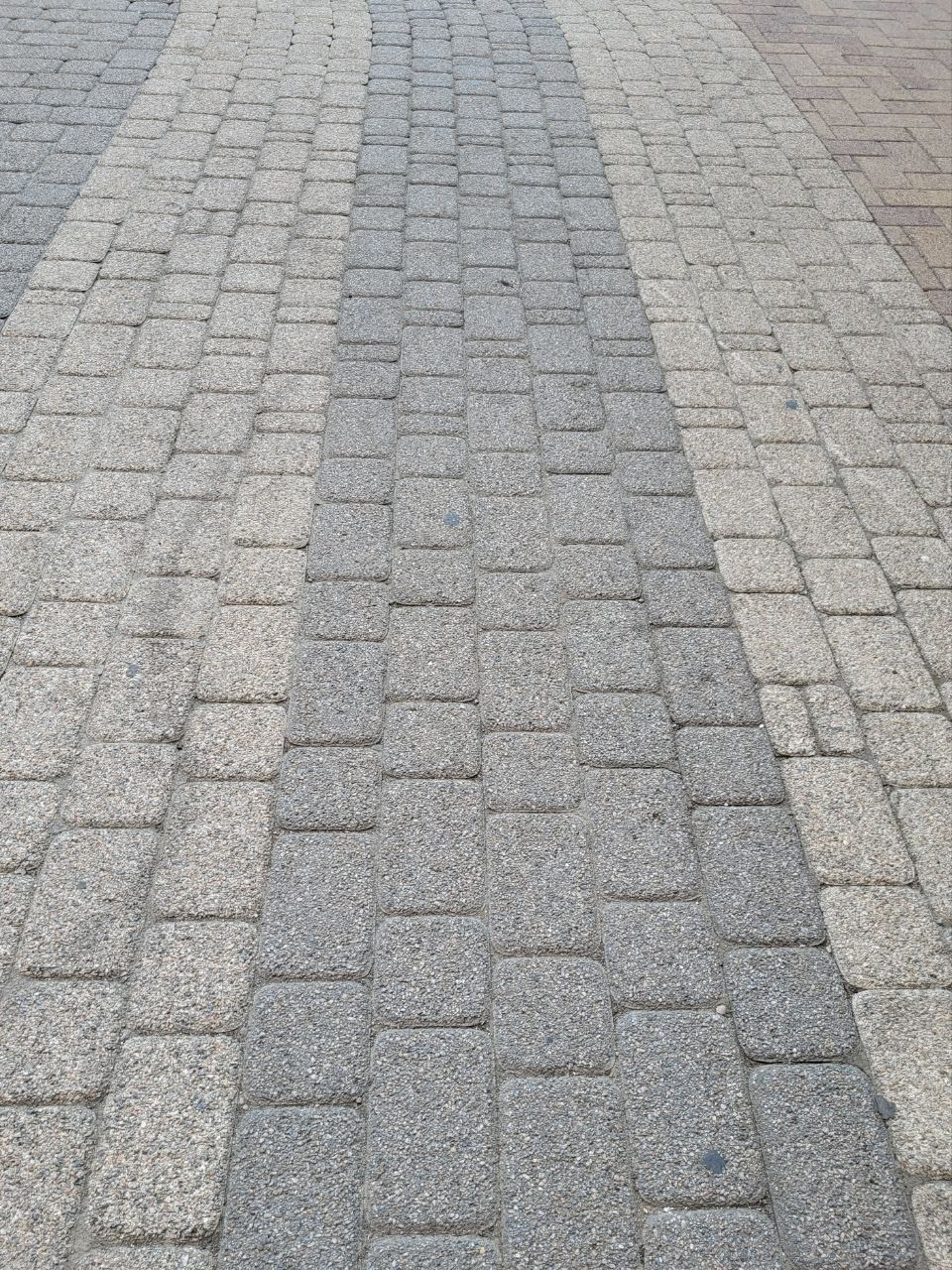 Проект «366»|2024|Фото каждый день. LENA GRACE photographer ||ЛЕНА ГРЭЙС фотограф