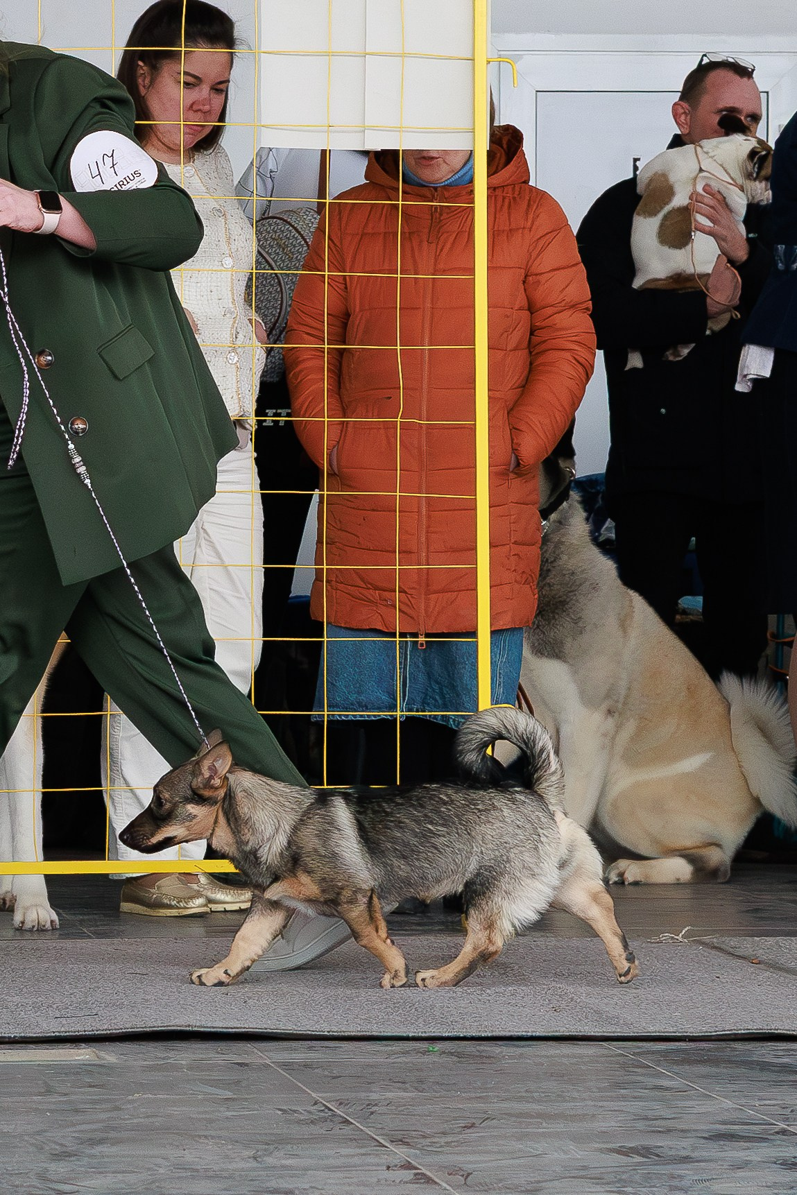 Выставки. Фотограф Марк Файзулин