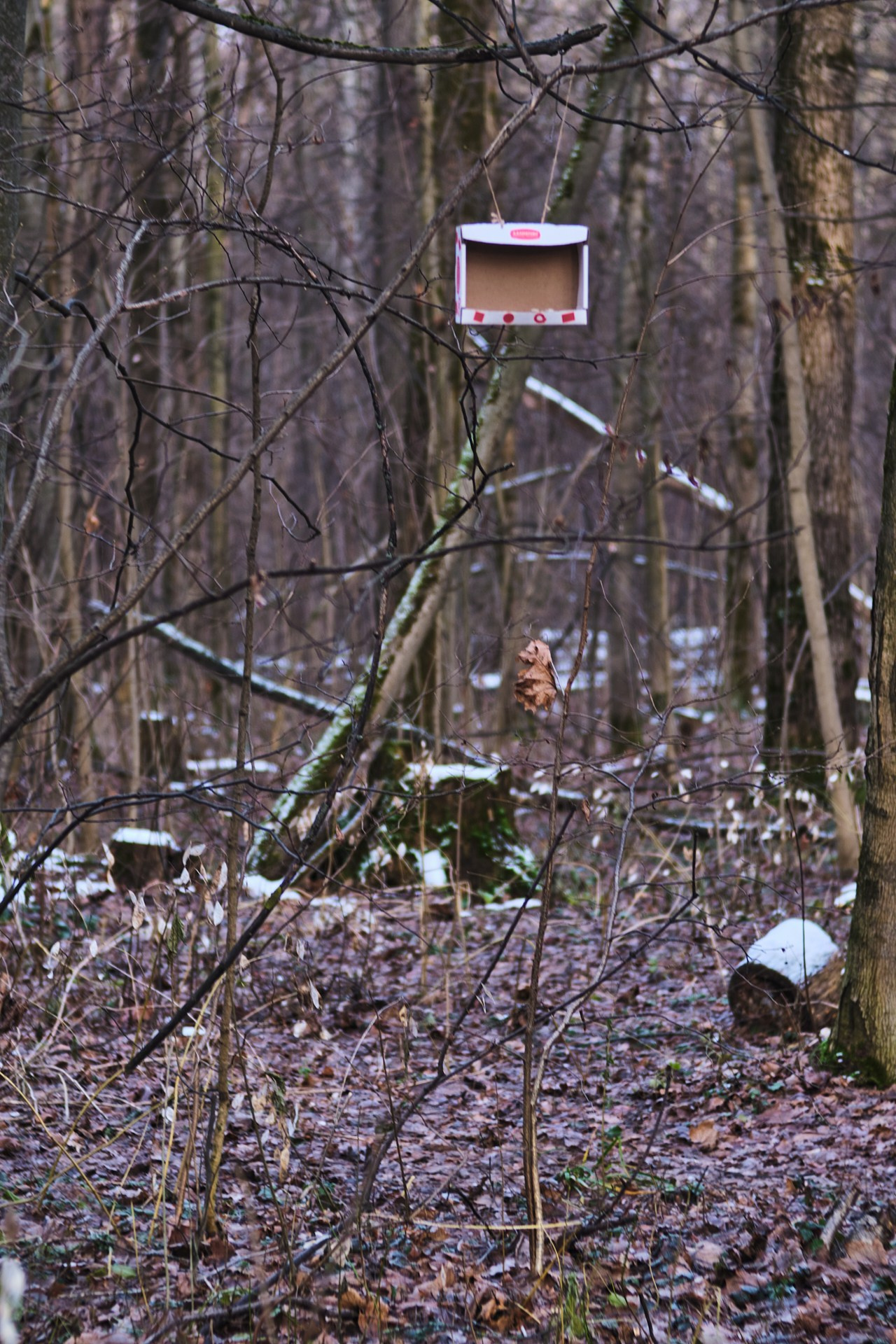ЖИЗНЬ и СМЕРТЬ. Сайт фотографа Виталия Дени