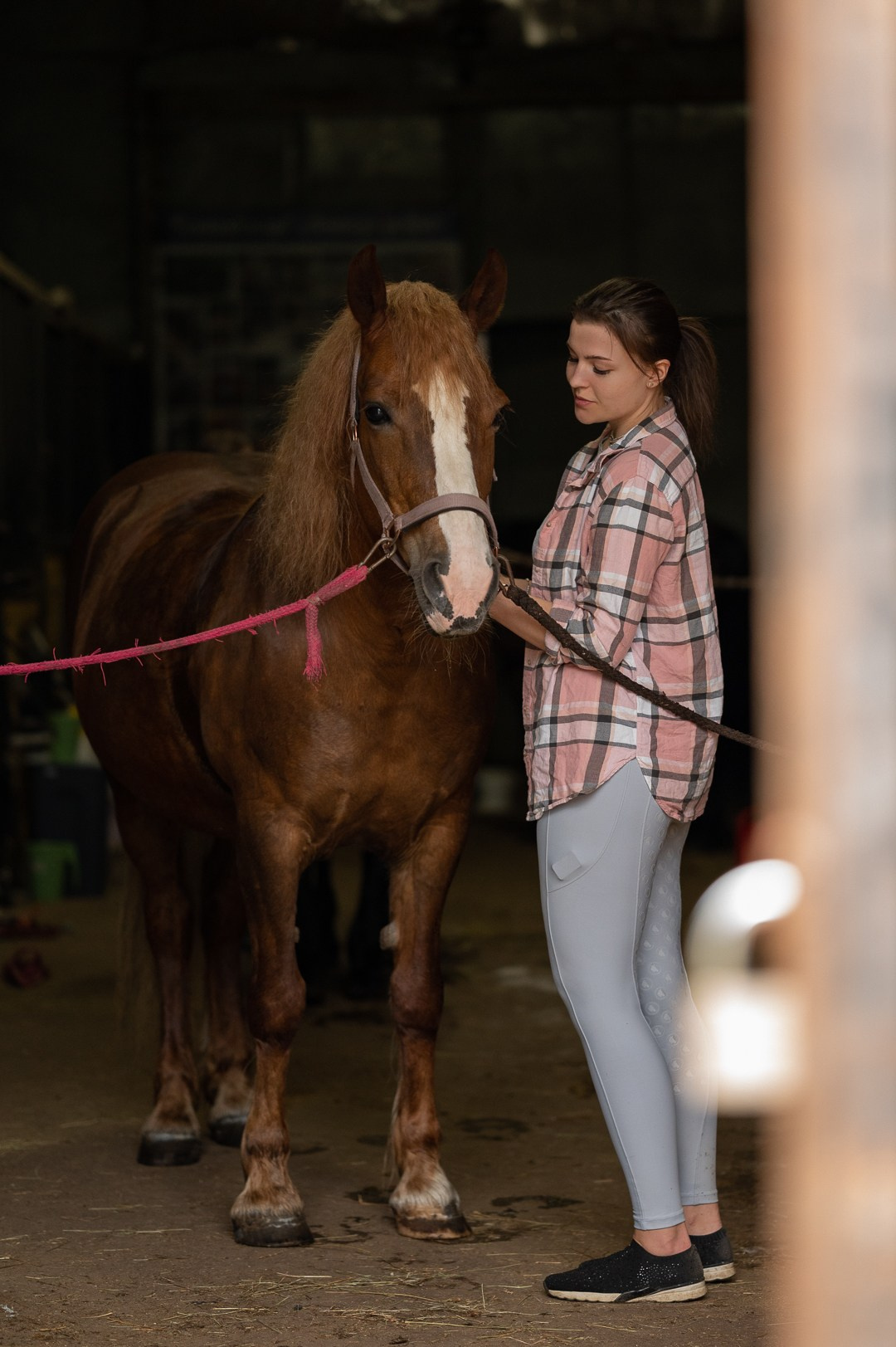 Конюшня. Мир живой фотографии о Вас и для Вас