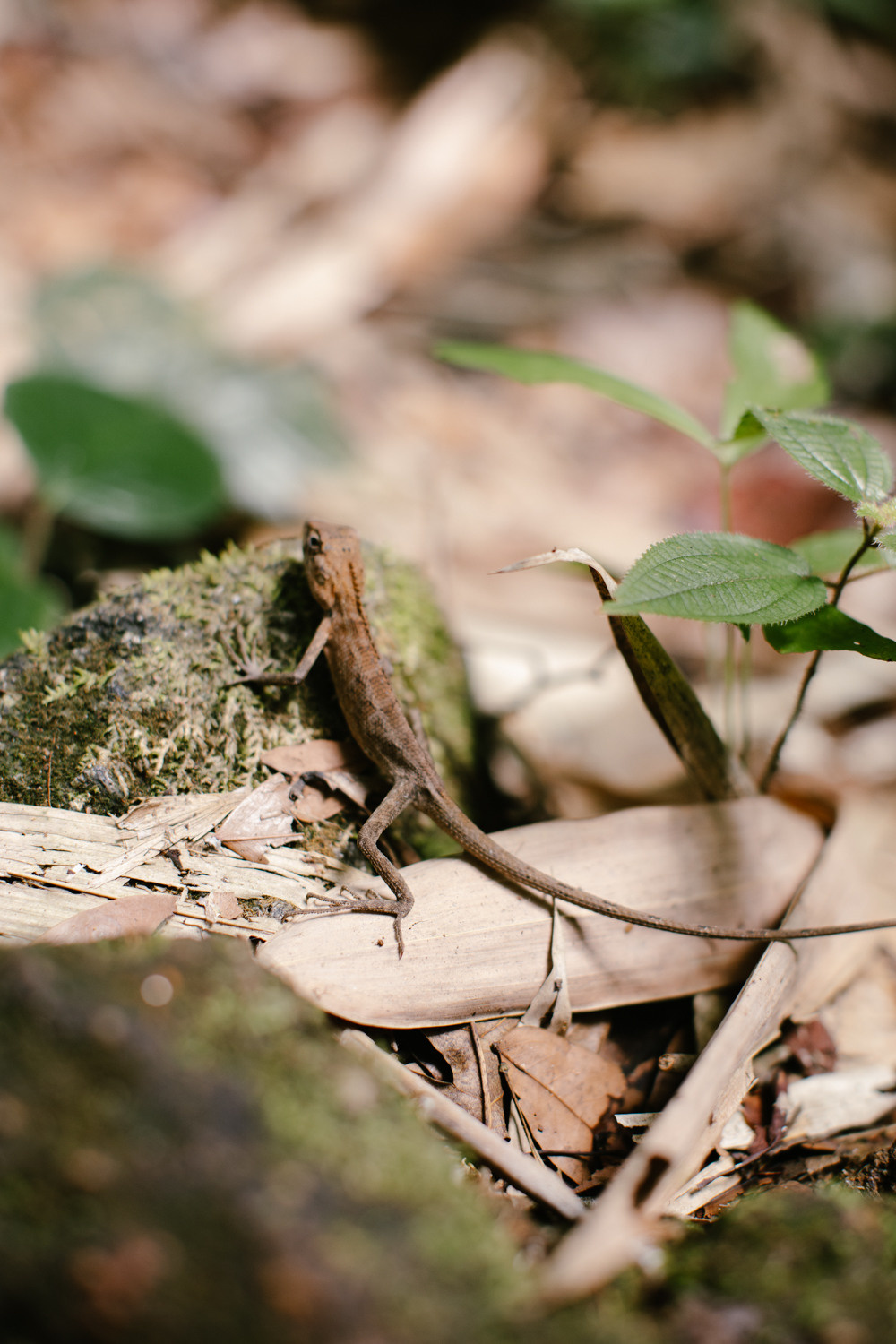 Phuket. Thailand. Wedding Event ART Photographer