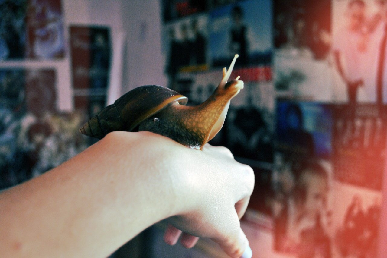 Визуальный дневник. Портретный фотограф в Москве Гахраманова Екатерина