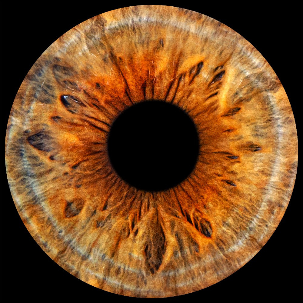 Примеры фото. Фото радужки глаза LOOK IN