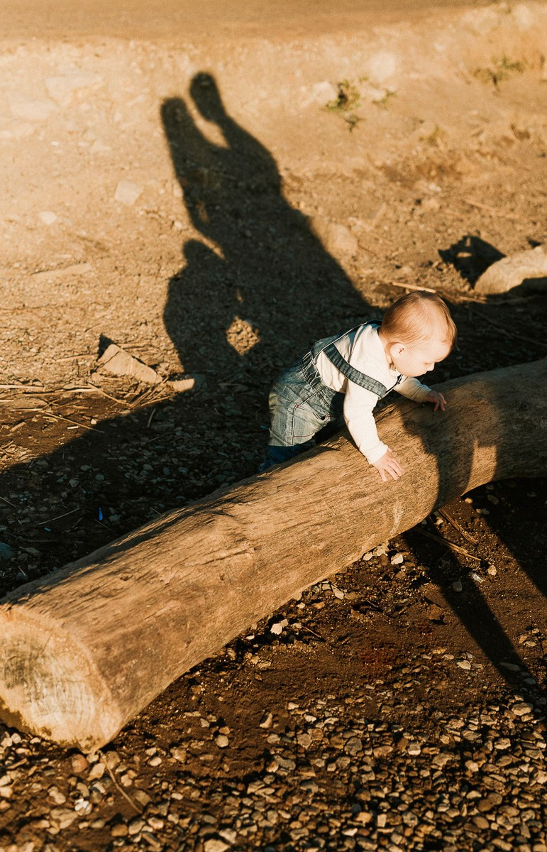 СЕМЬЯ. АЛЕКСАНДР ФОКС