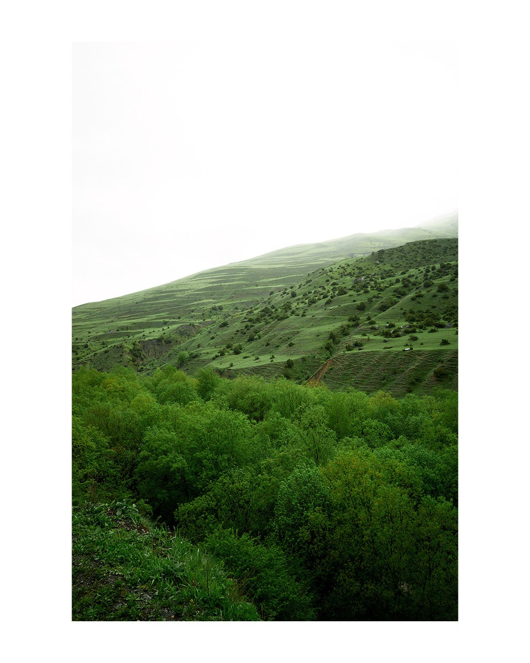 Репортажная фотография