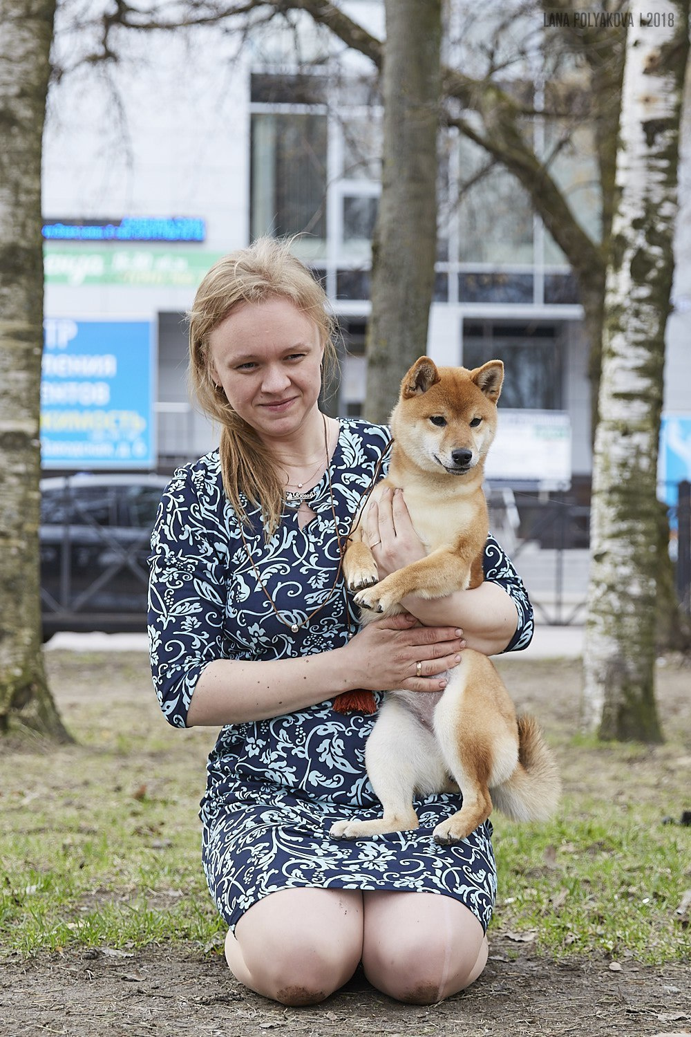 Сиба сиба-ину сибаину в Санкт-Петербурге
