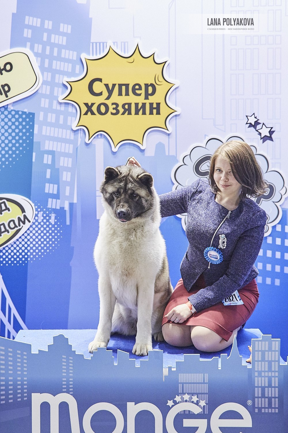 Лара * DANCING QUEEN, Американская акита Санкт-Петербург, питомник RUBYLIGHT