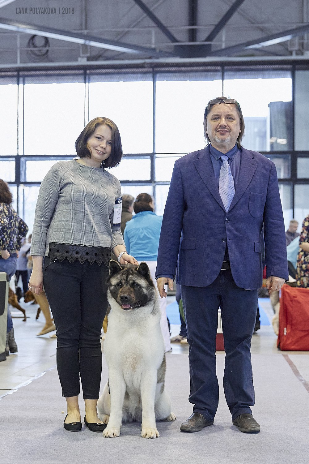 Лара * DANCING QUEEN, Американская акита Санкт-Петербург, питомник RUBYLIGHT