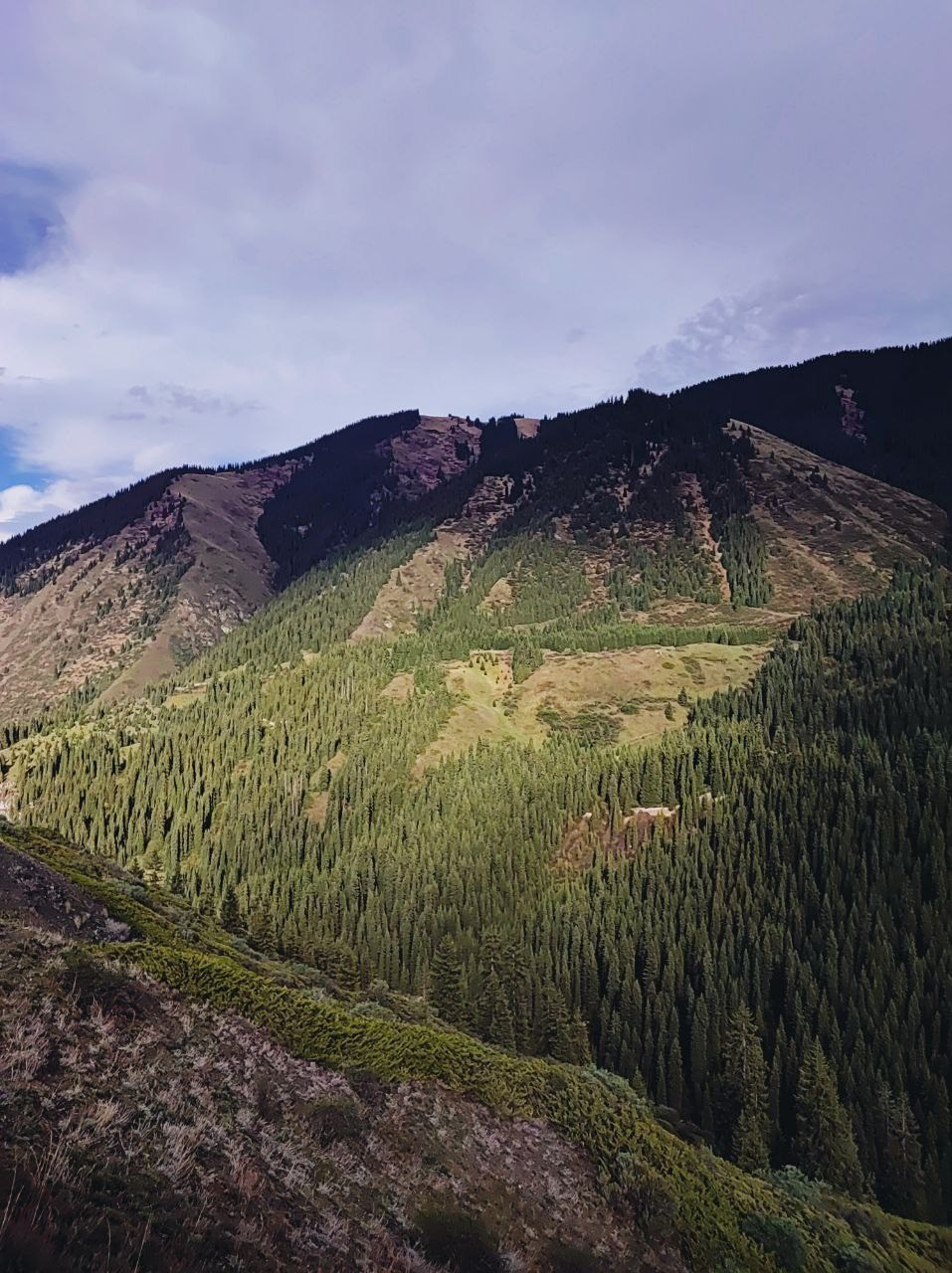 Намобилкус казахский. Репортажный фотограф Алексей Пирязев