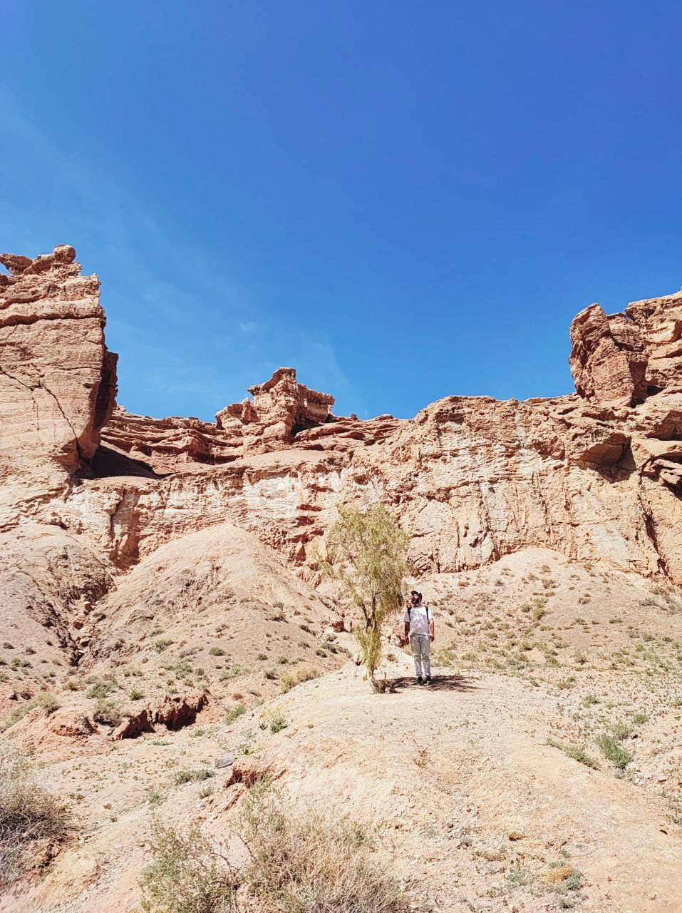 Намобилкус казахский. Репортажный фотограф Алексей Пирязев