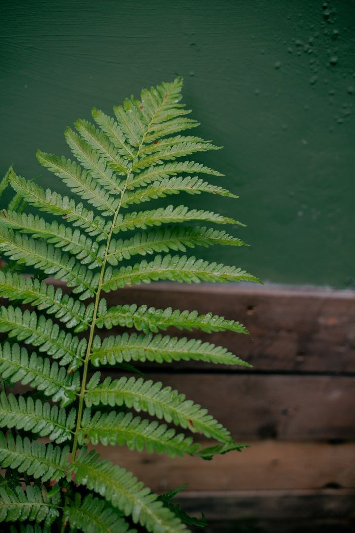 Площадки для уютных свадеб в Нижнем Новгороде. Свадебный и семейный фотограф в Нижнем Новгороде и Москве