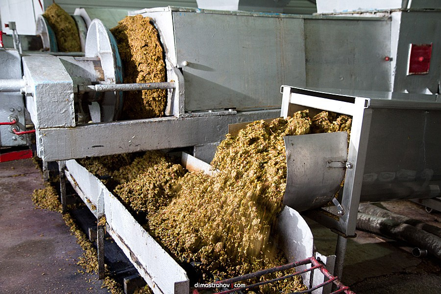 Винзавод Качинский +. Свадебный фотограф, фотосъемка в Крыму, Севастополе, Симферополе, Ялте