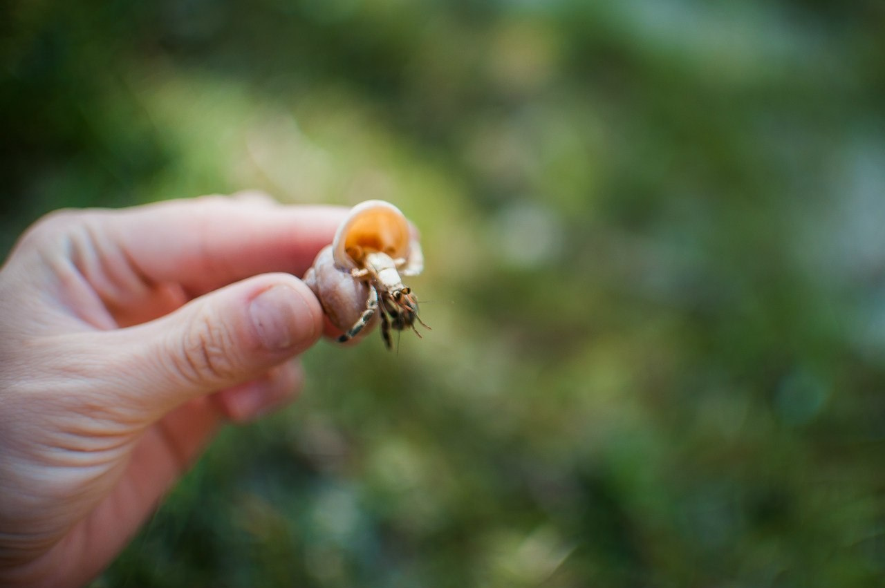 МОЙ 2014. Фотограф