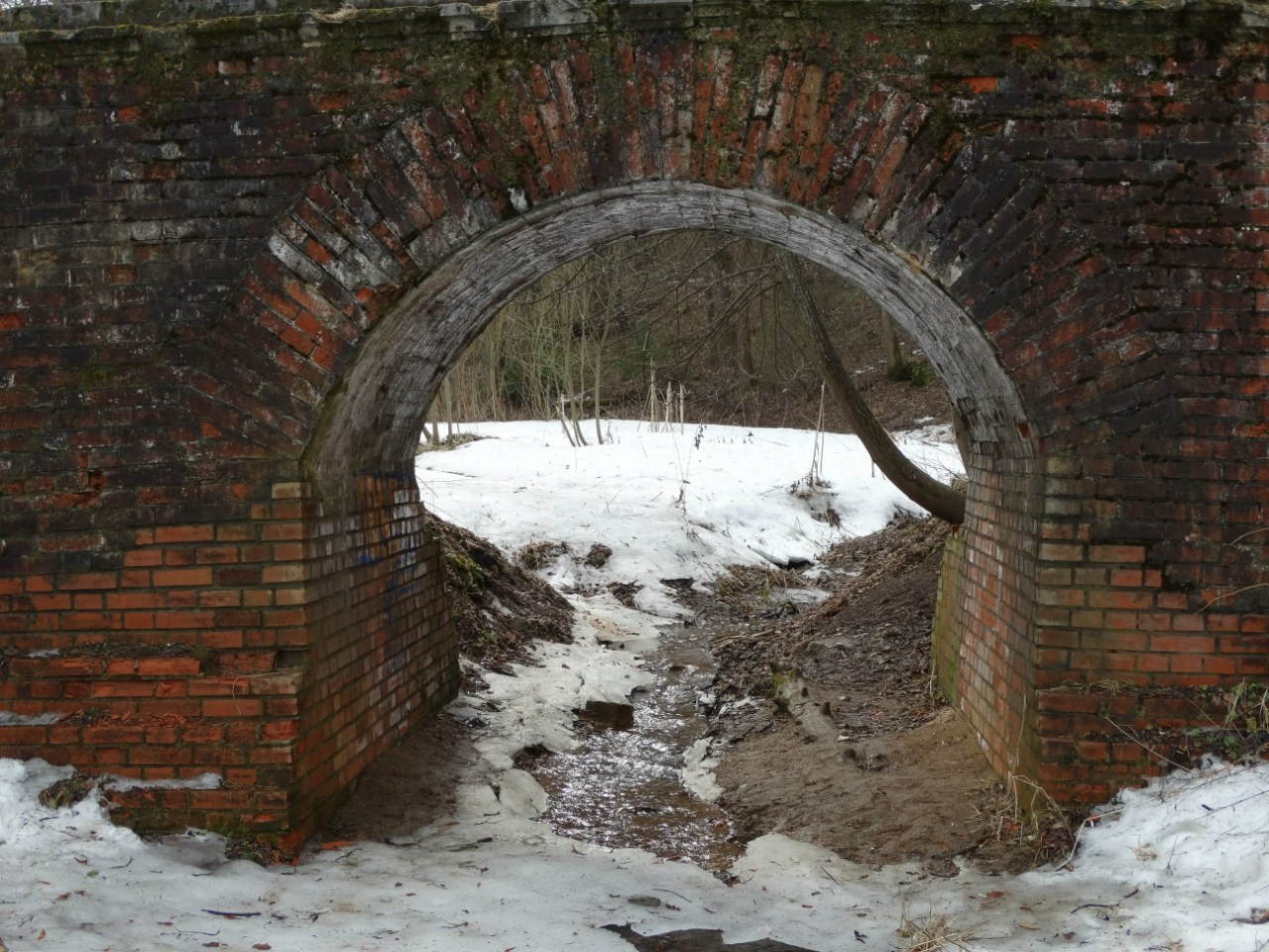 Середниково — Piligrim Porto — Братцево — Сходненская чаша | 09.04.2016. Галерея Фантим