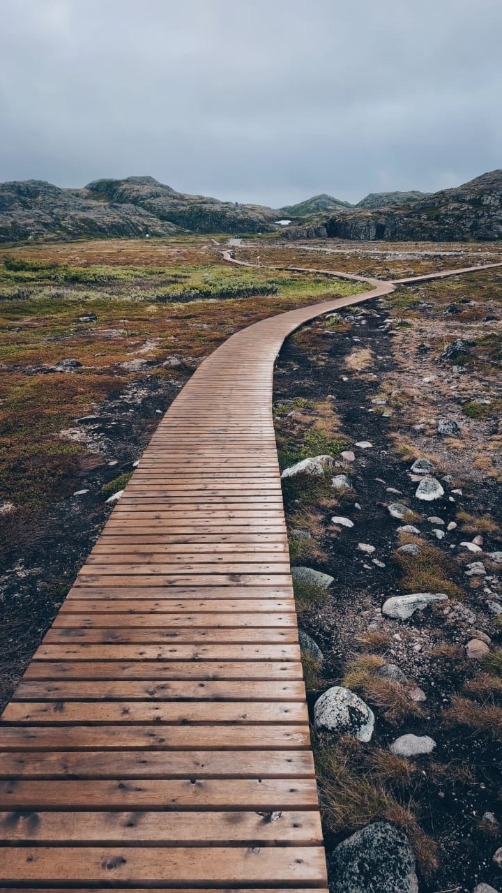 Мурманск | 20-22.06.2025. Галерея Фантим